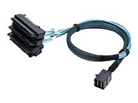 Overland-Tandberg - Câble interne SAS - Mini SAS HD (SFF-8643) pour SAS 29 broches internes (SFF-8482) - 50 cm OV-CBLINT8482